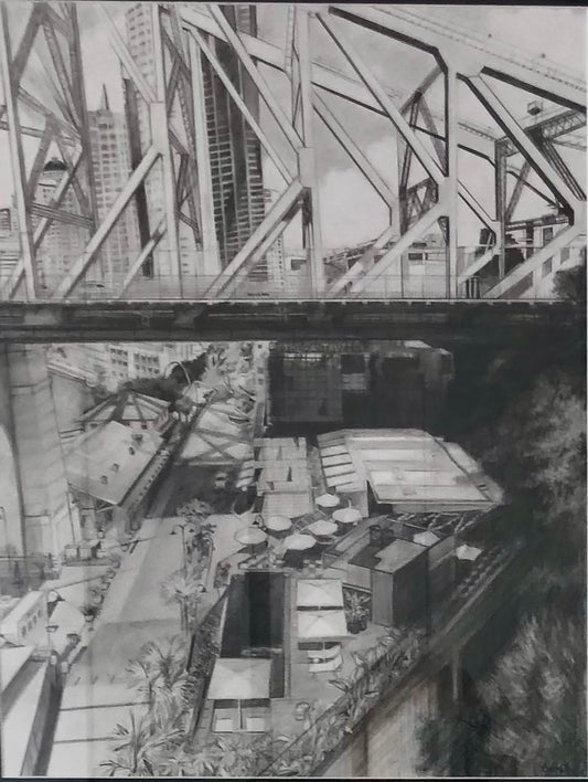 View of the Story Bridge from New Farm