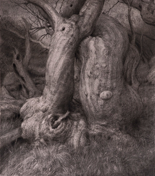 Ghosts