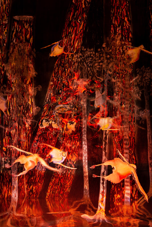 Pollos Volando (Flying Chickens)