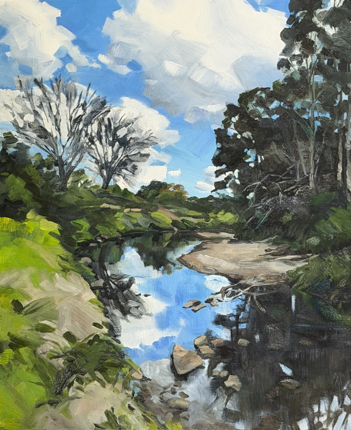 The Creeks Where We Roam